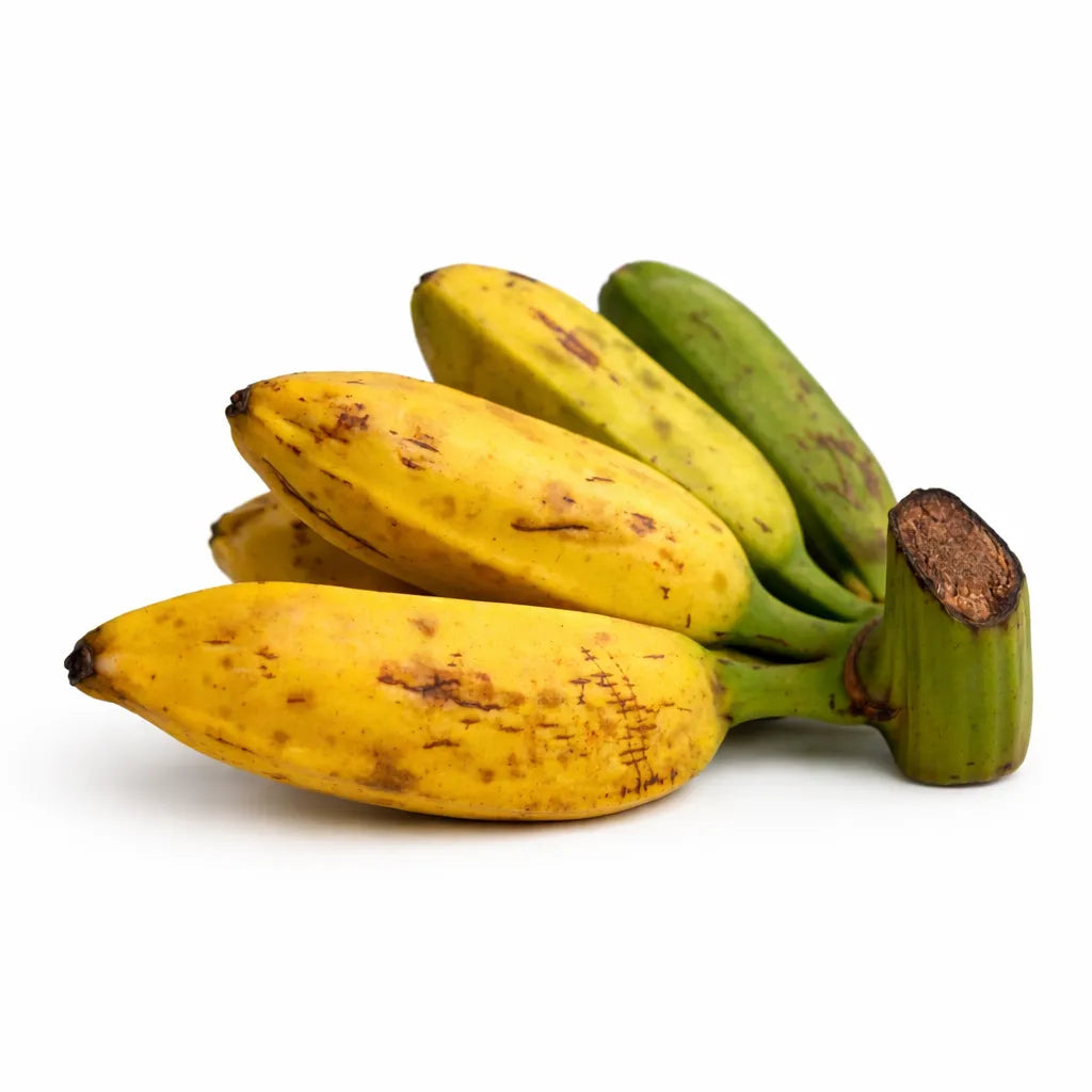 Burro Banana