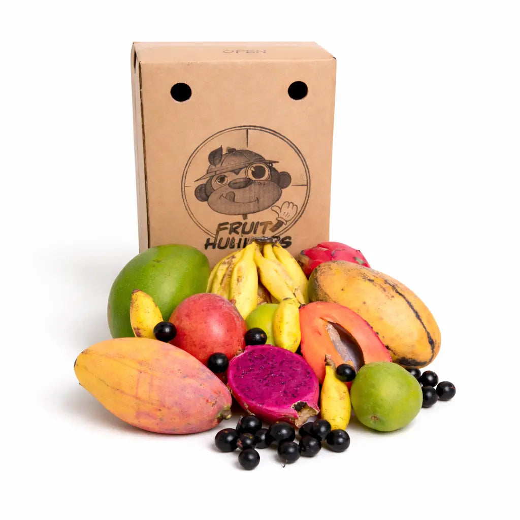 Seasonal Box