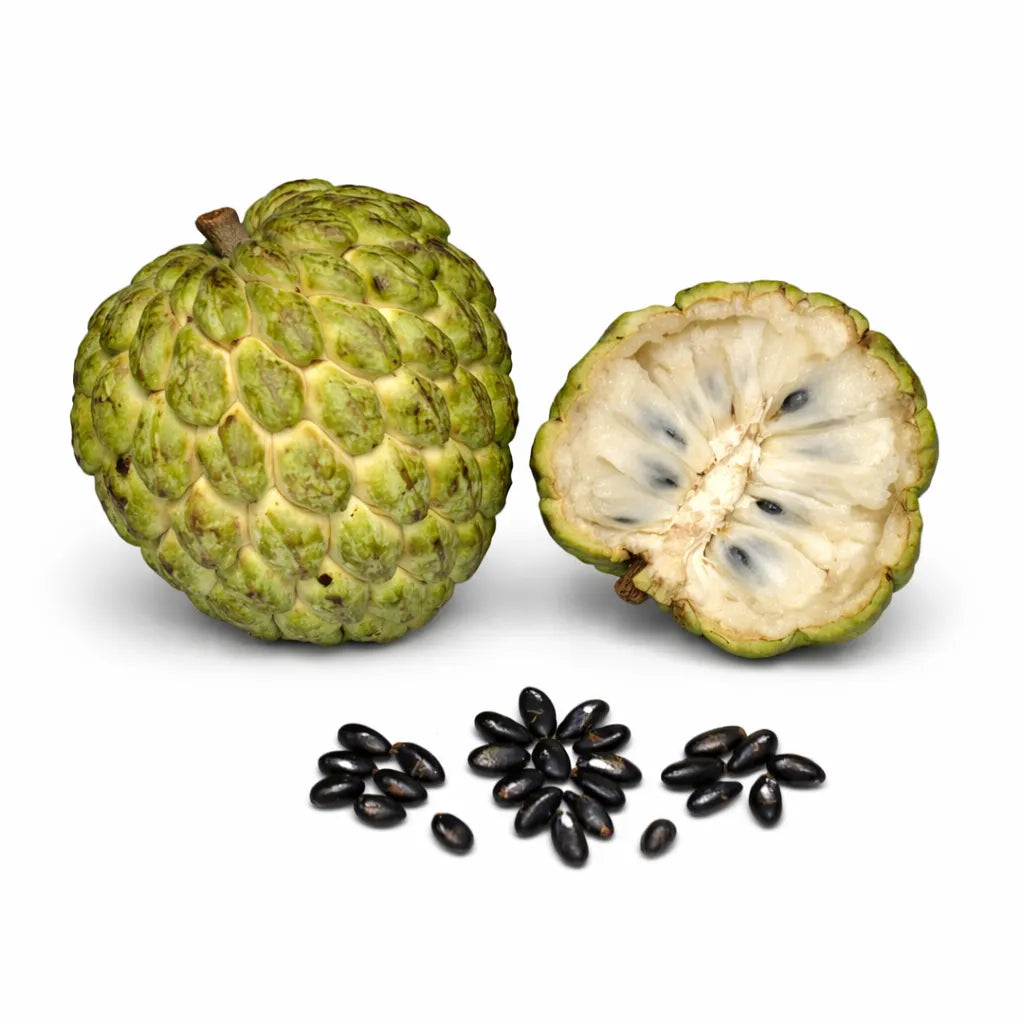 Sugar Apple Seeds