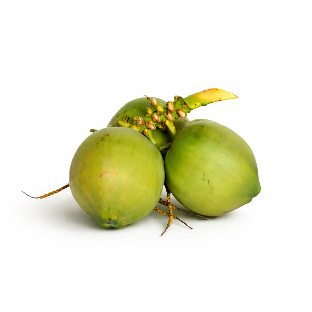 Coconut